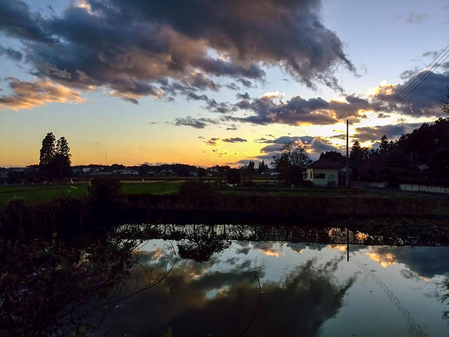 Nature #75
