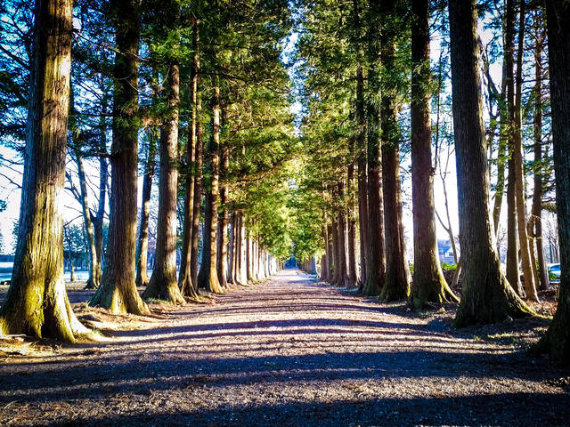 Nature #84