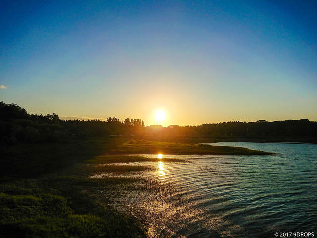Nature #173