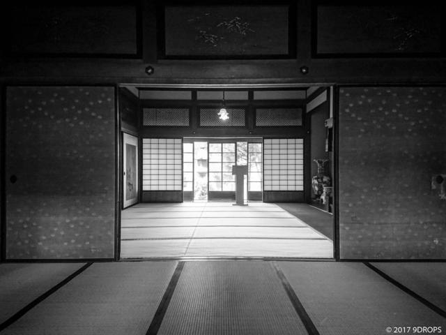 Black & White #48