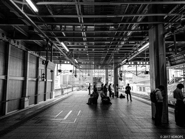 Black & White #49