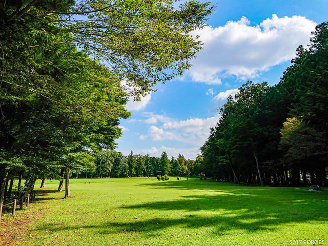 Nature #179