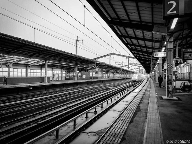 Black & White #50