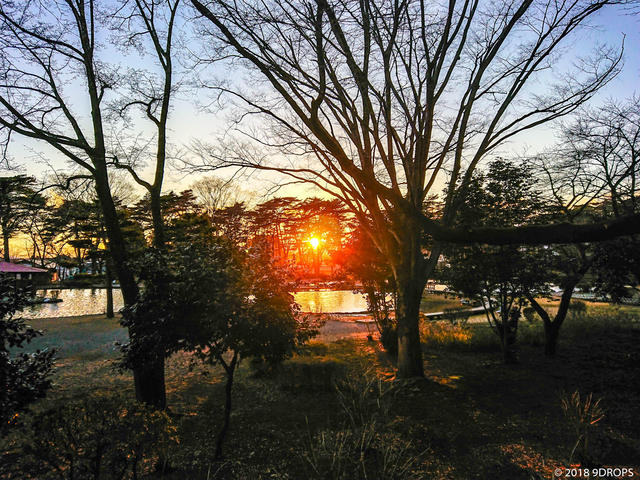 Nature #199