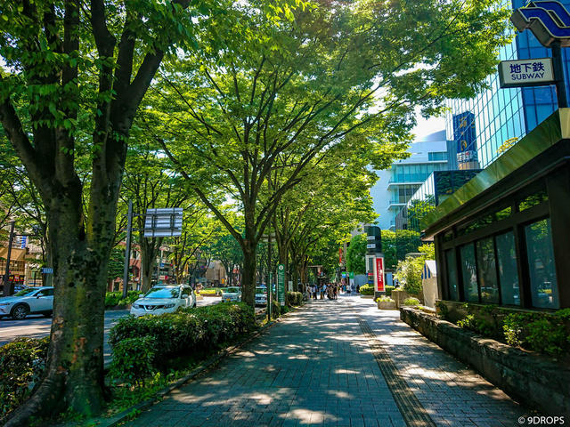 Street #95