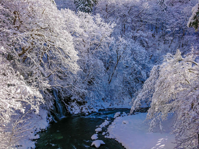 Nature #250