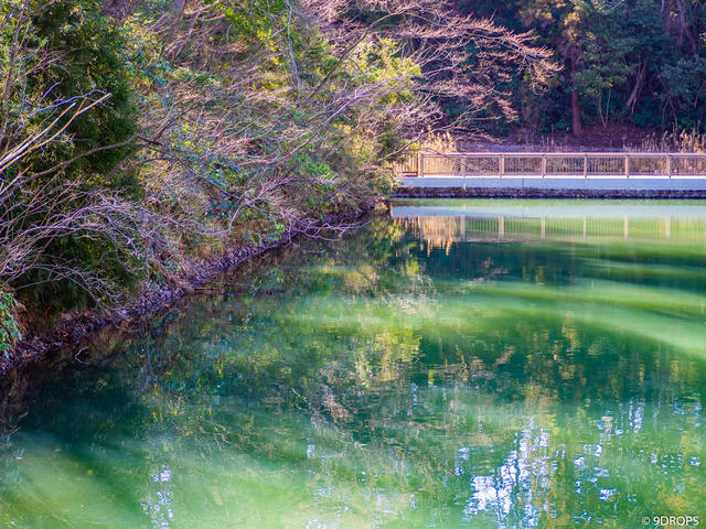 Nature #270