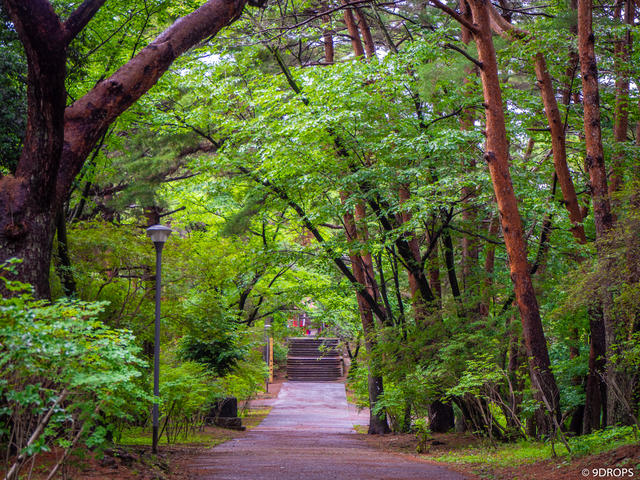 Nature #296