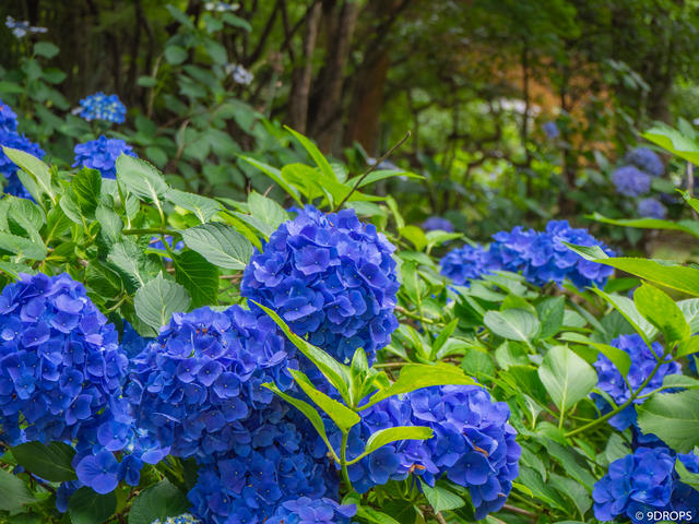 Nature #297