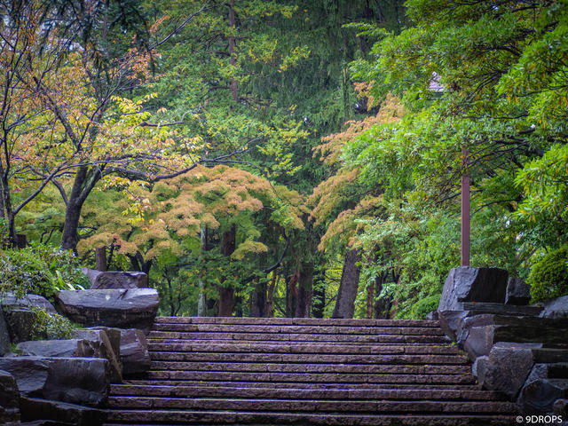 Nature #315