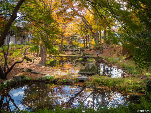 Nature #319