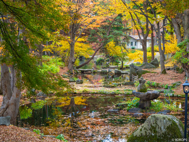 Nature #320