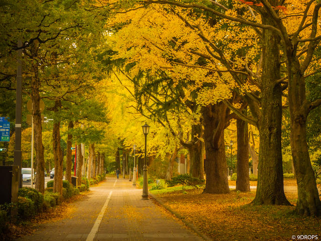 Nature #321