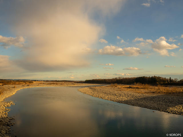 Nature #338
