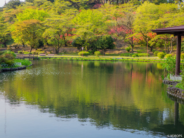 Nature #357