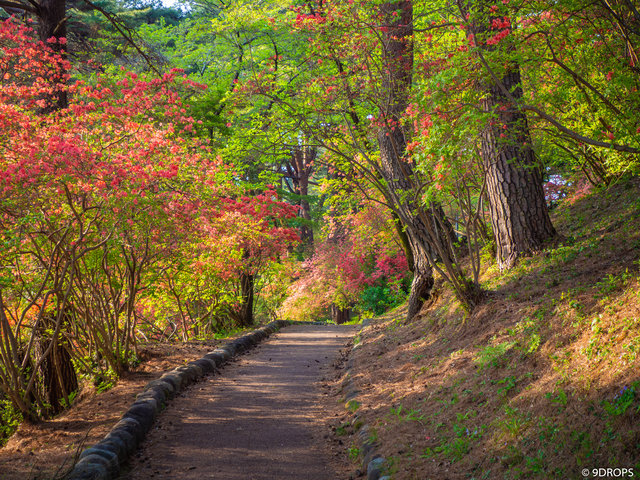 Nature #356