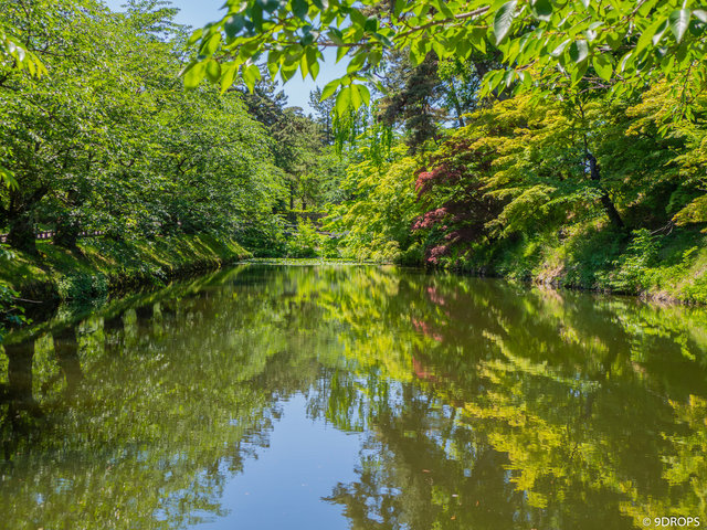Nature #360