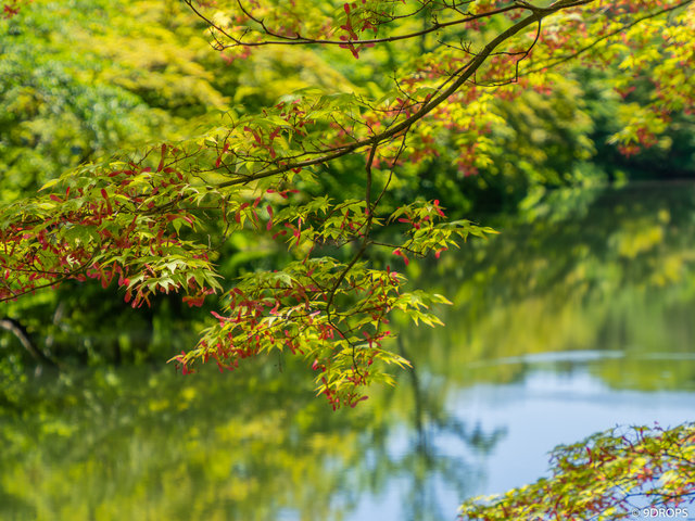 Nature #361
