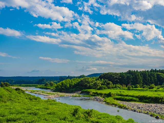 Nature #366