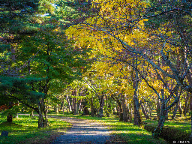 Nature #380