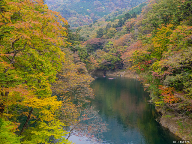 Nature #383