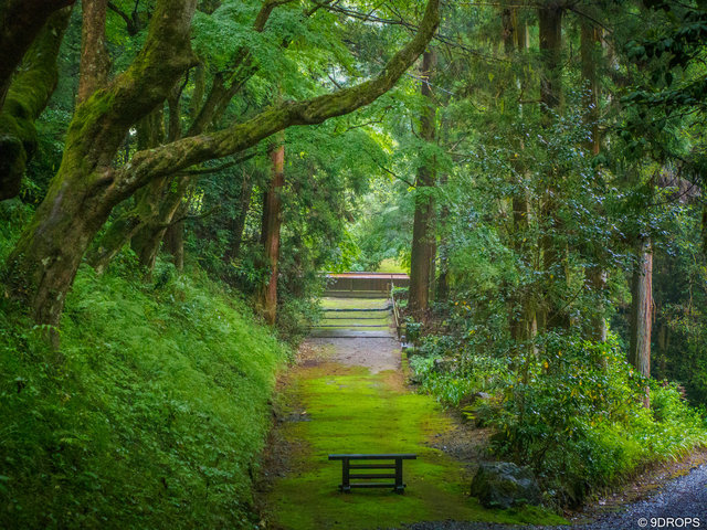 Nature #482