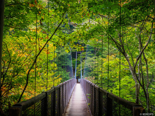 Nature #502