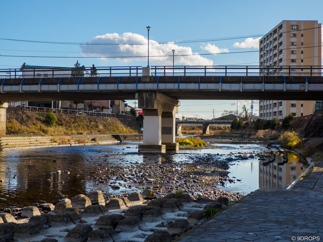 Street #365