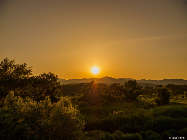 Nature #525