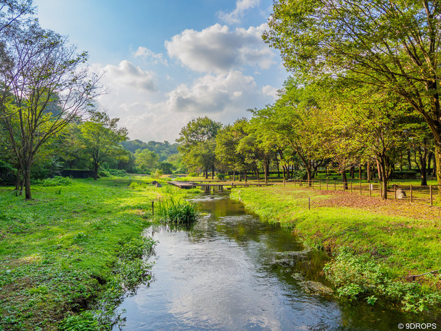 Nature #531