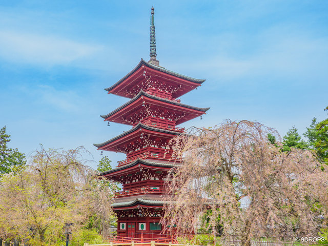 P5034849-2.jpg