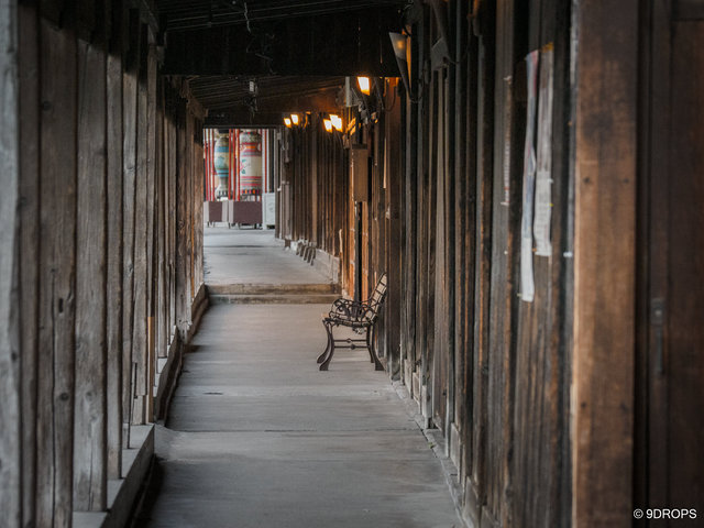 P8130234-2.jpg